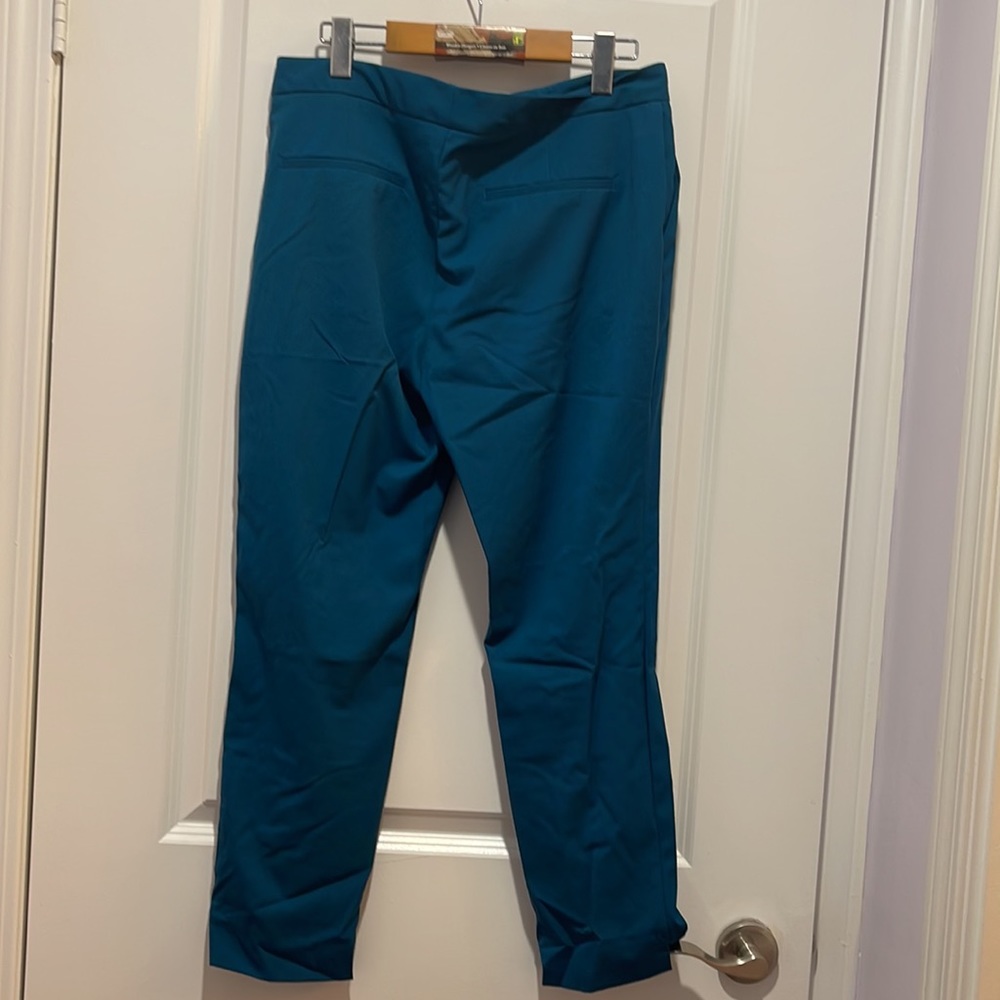 Ladies’ Pant for Winter - Picture 2 of 2